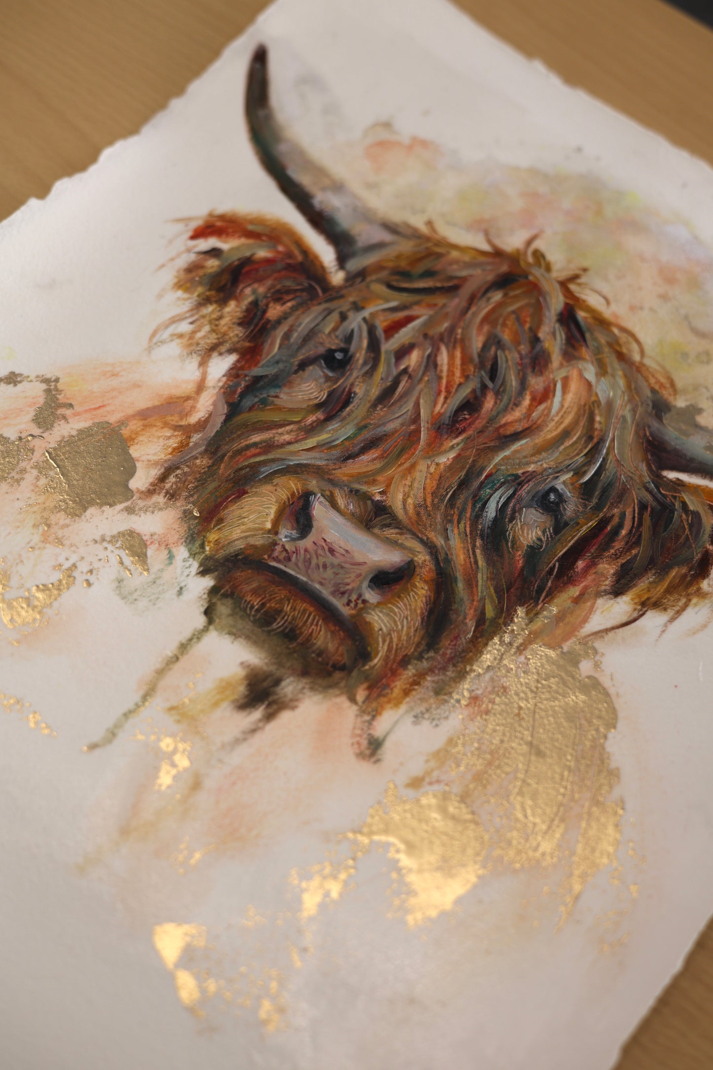 HEILAN COO II