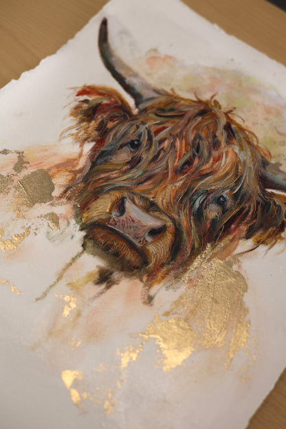 HEILAN COO II
