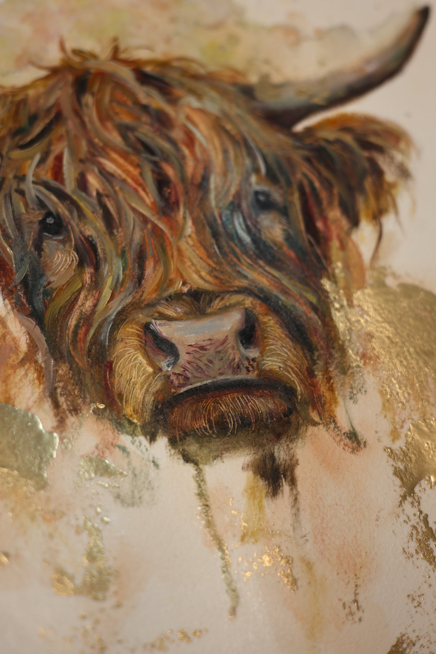 HEILAN COO II