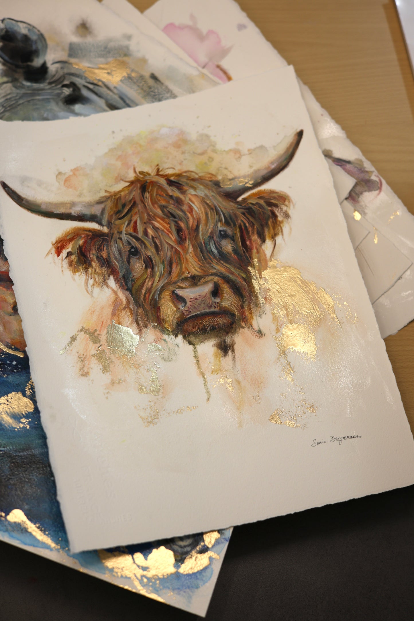 HEILAN COO II