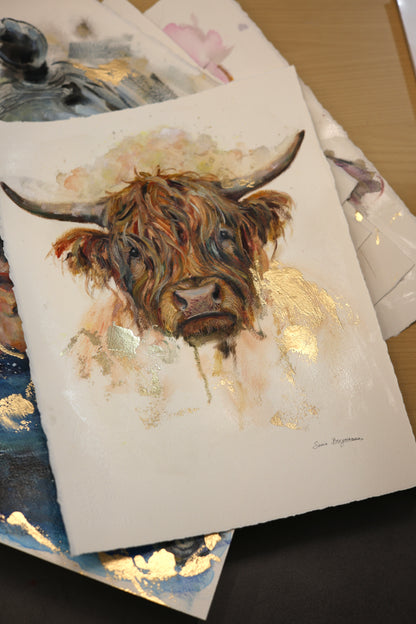 HEILAN COO II