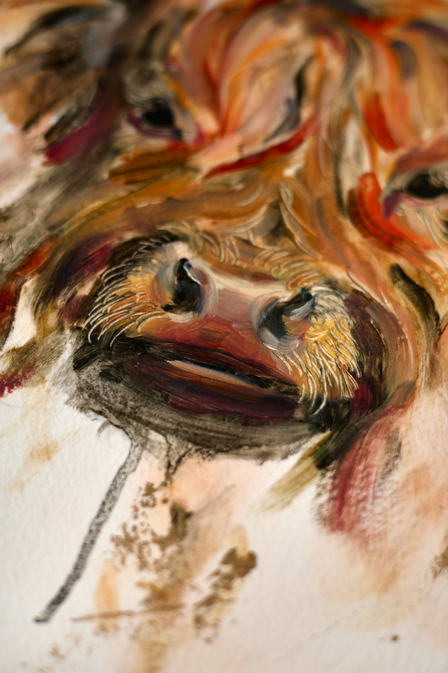 HEILAN COO