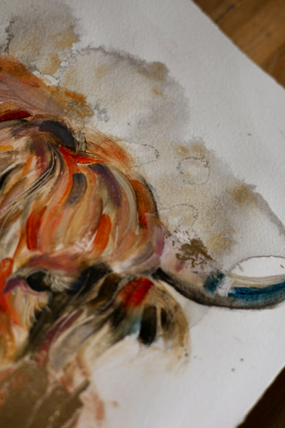 HEILAN COO