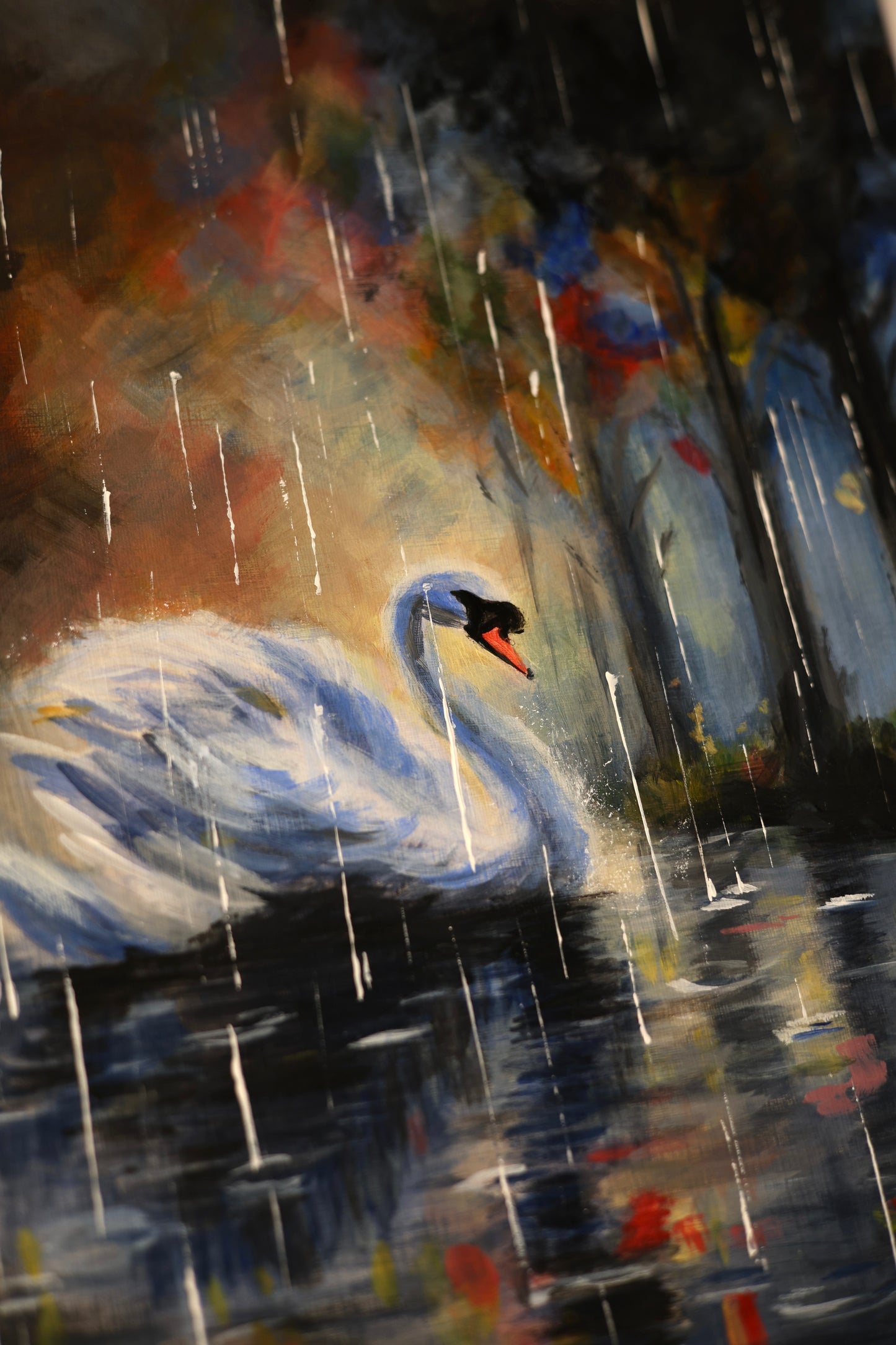Swan River
