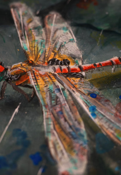 Abstract Dragonfly