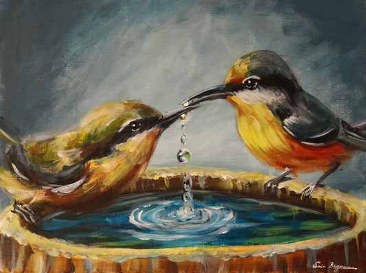 Birdy Love
