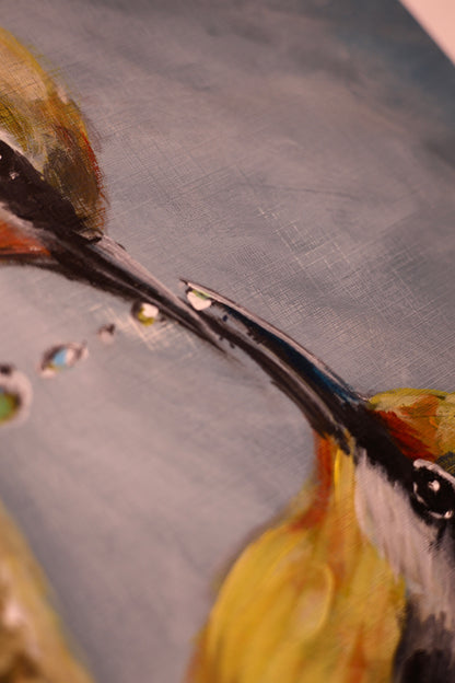 Birdy Love