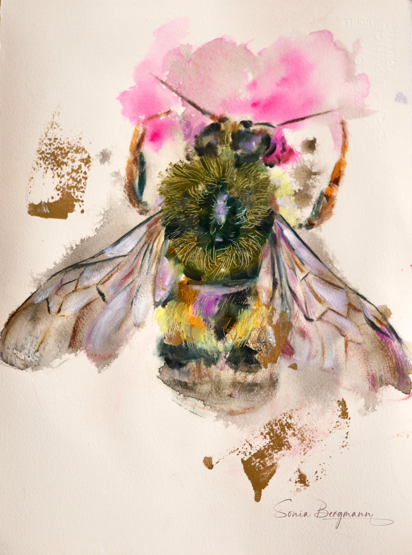 NECTAR RUN